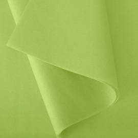 Papier de soie Vert pomme n°6